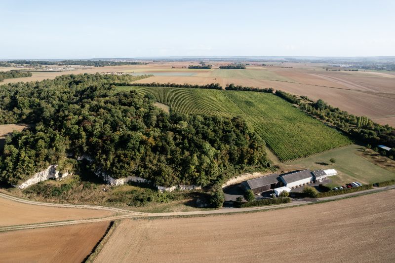 Visite guidée du domaine et dégustation